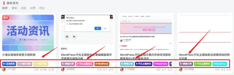 子比主题 – 首页列表标签随机彩色样式-鹿鸣资源站